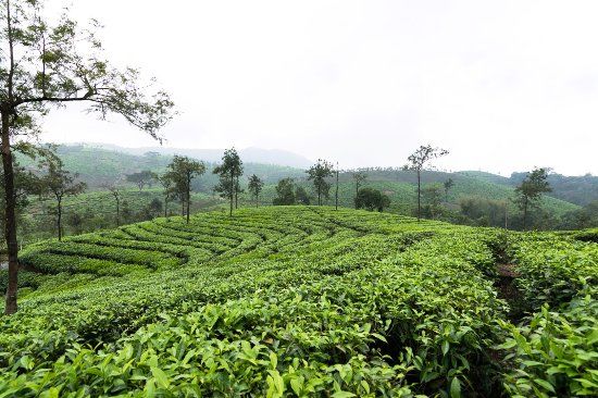 Vagamon