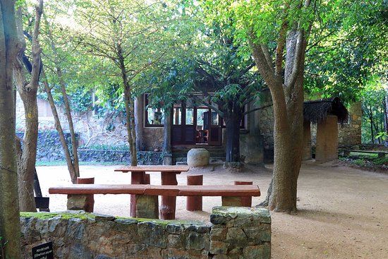 Popham's Arboretum