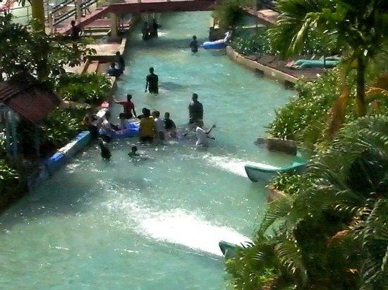Orang Utan Island