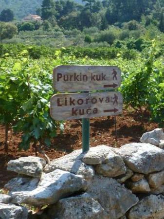Fort de Purkin Kuk