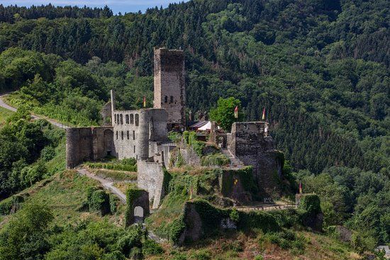 Metternich Castle