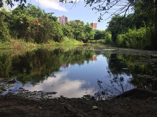 Parc écologique de Cocó