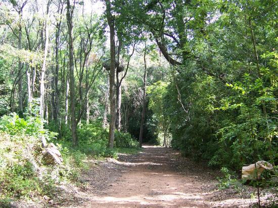 Arboreto Lussich