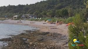 Monsena