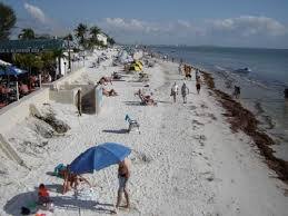 Bunche Beach