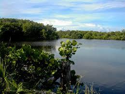 Black Island Trail