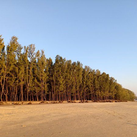 Laboni Beach