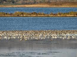 Ulcinj Salt Pond