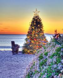 Crystal Cove