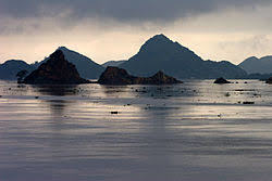 Song Hoang Long