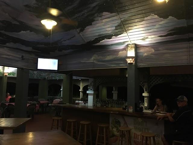 Turtles After Dark