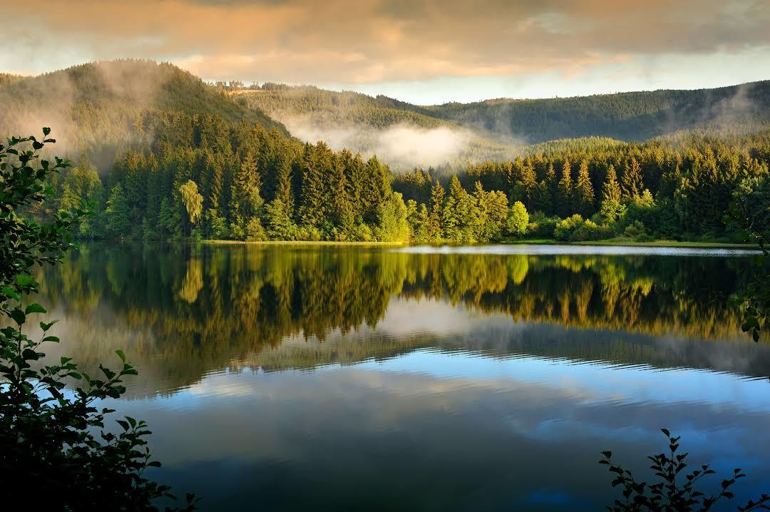 Harz National Park