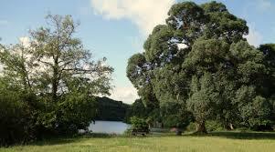 Etang du Turc