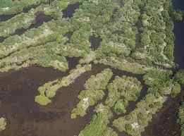 Mil Islas