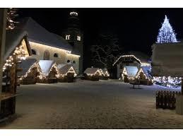 Alpska Vasica