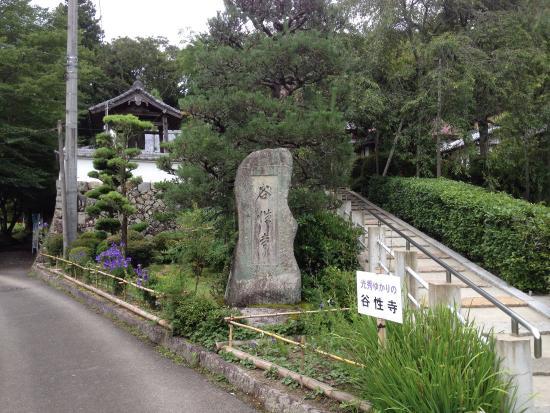 Kokushoji Temple