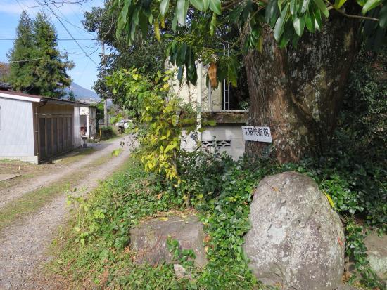 Sueda Art Gallery