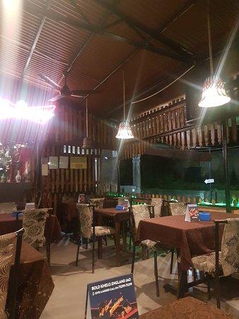 The Old Mango Tree