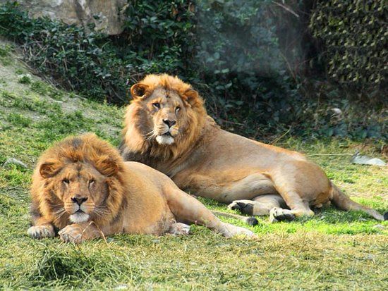 Tierpark Selwo Aventura