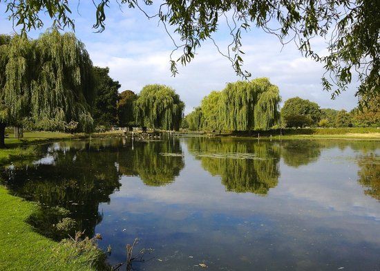 Bushy Park