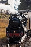 Jacobite Train