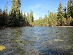 Buffalo Fork