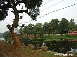 Cheepunkal