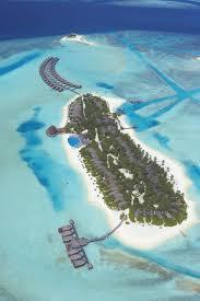 Dhigu