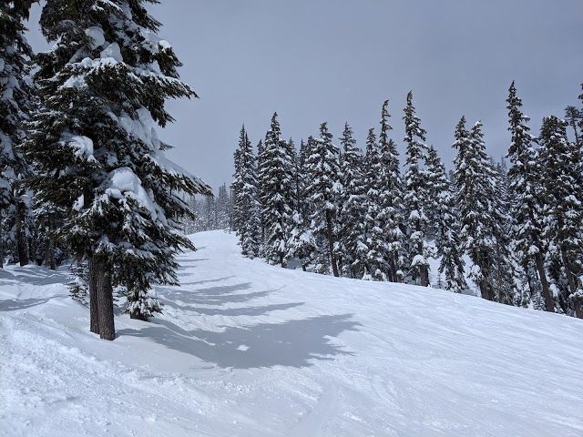 Mount Hood Meadows