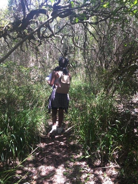 Platbos Indigenous Forest