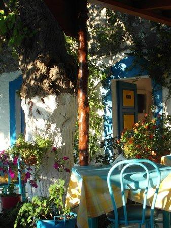 Ampavris Taverna