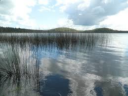 Cudgen Lake