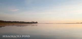 Sesachacha Pond