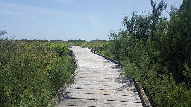 Kelly Hamby Nature Trail