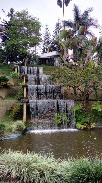 Parque de la Vida