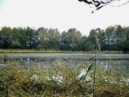 Pekeretto Lake