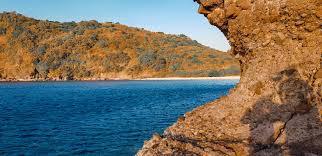 Papaya Cove