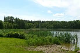 Sopień