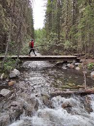 Wind Ridge Trail