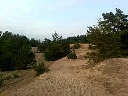Ullahau