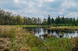Hemelrijk