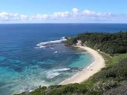 Ned's Beach