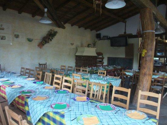 Agriturismo la mucca ballerina