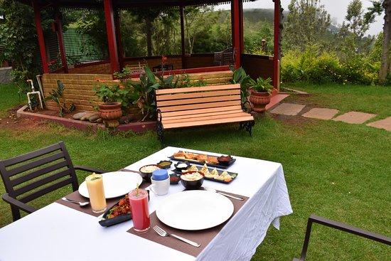 Green Nest Hangout- Garden Restaurant