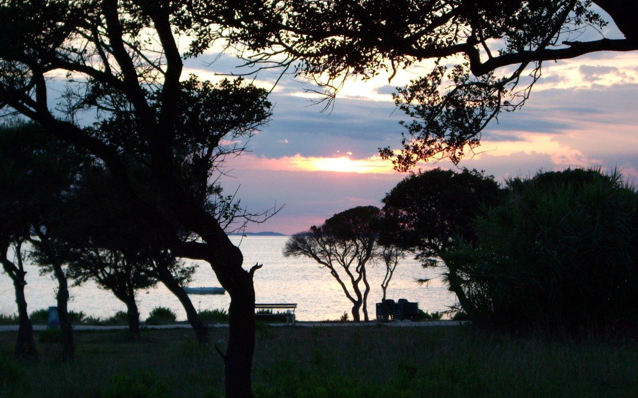 Gaja