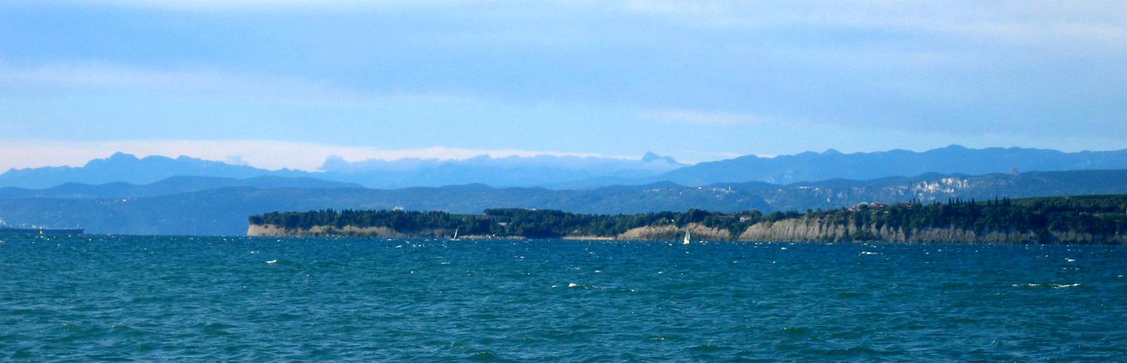Debeli Rtič