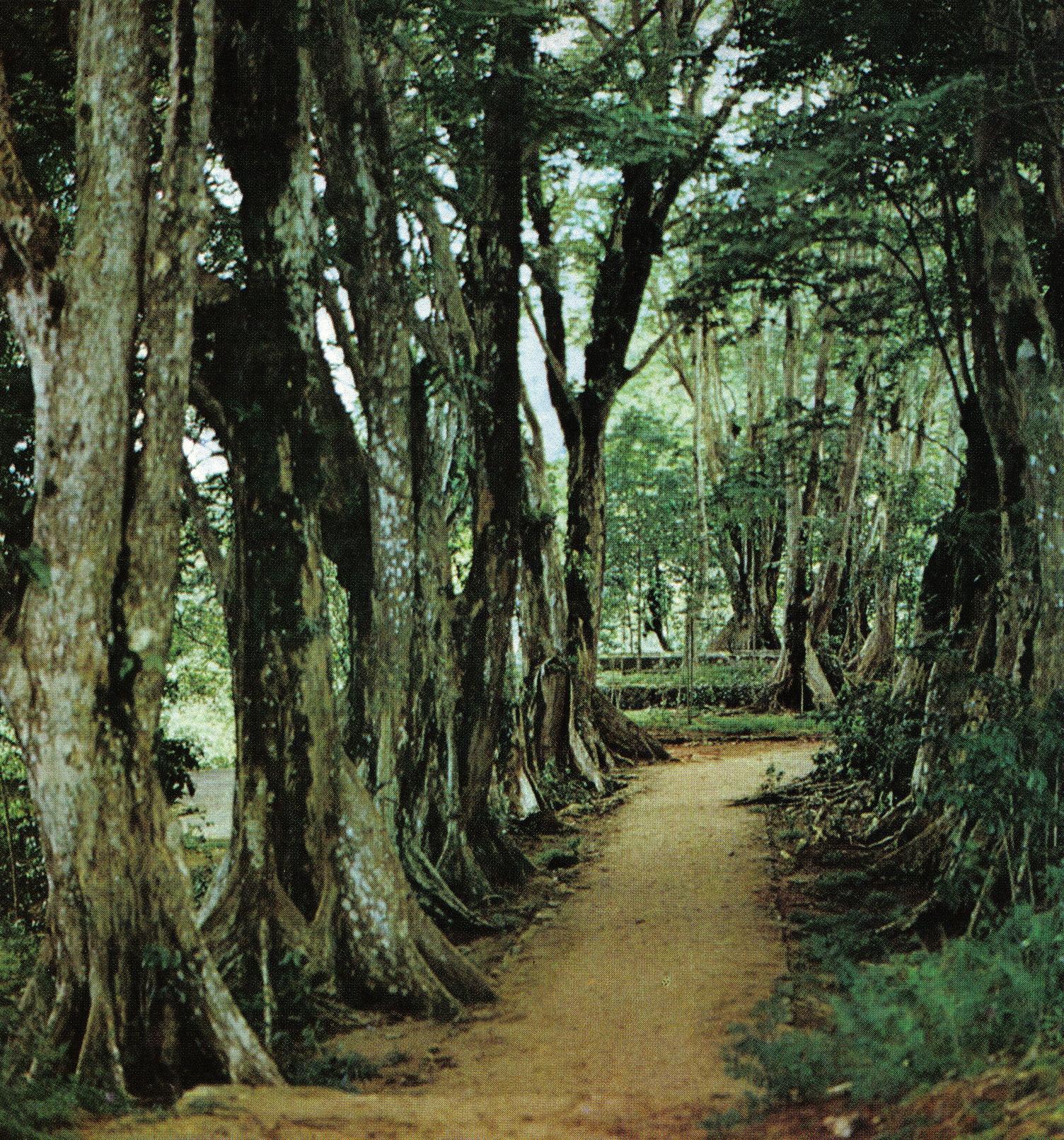 Morne Seychelles National Park