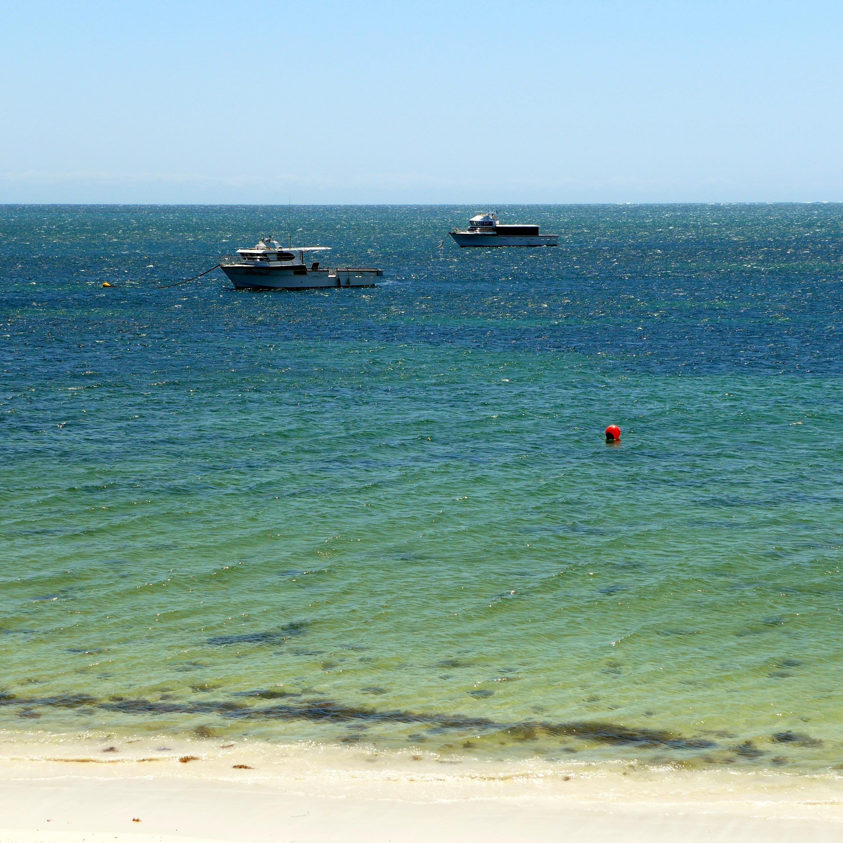 Ronsard Bay
