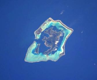 Tofari
