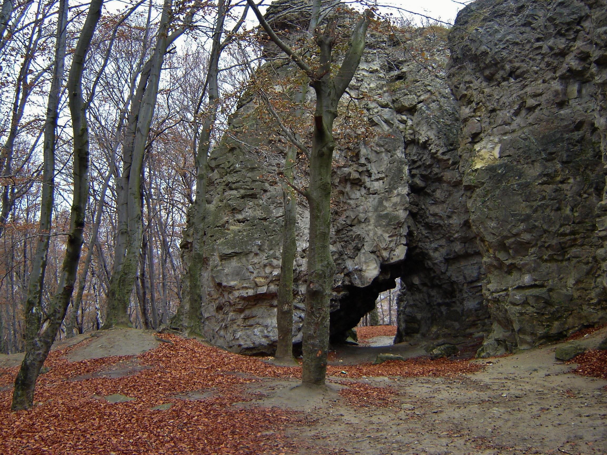 Park Winnikowski